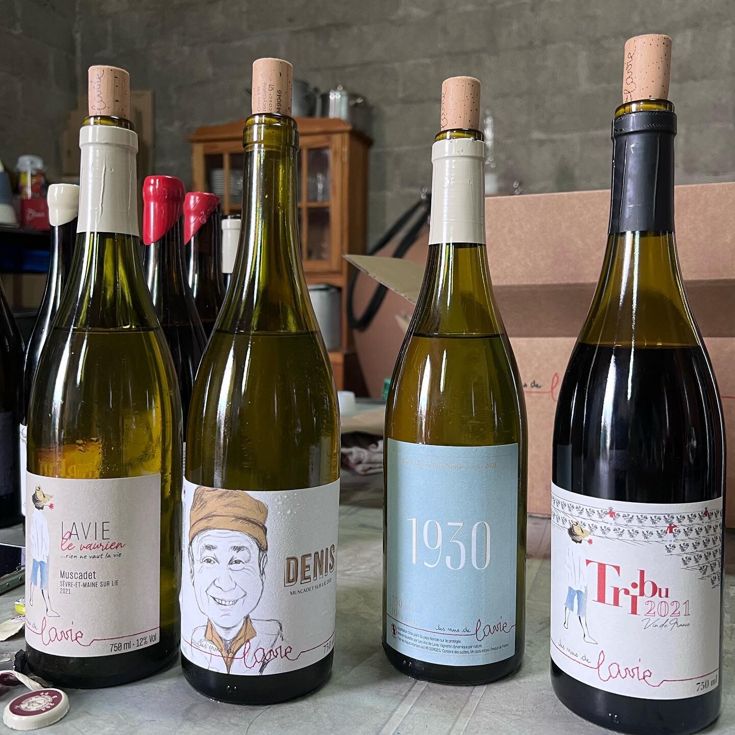 Welcome back Domaine La Vie / @les_vins_de_lavie to the CRS portfolio!  It's been too long!  This time, we have some motha effin Muscadet for your 👄👅!

Guillaume Lavie is originally from Gu&eacute;rande (Brittany), but first discovered natural wine