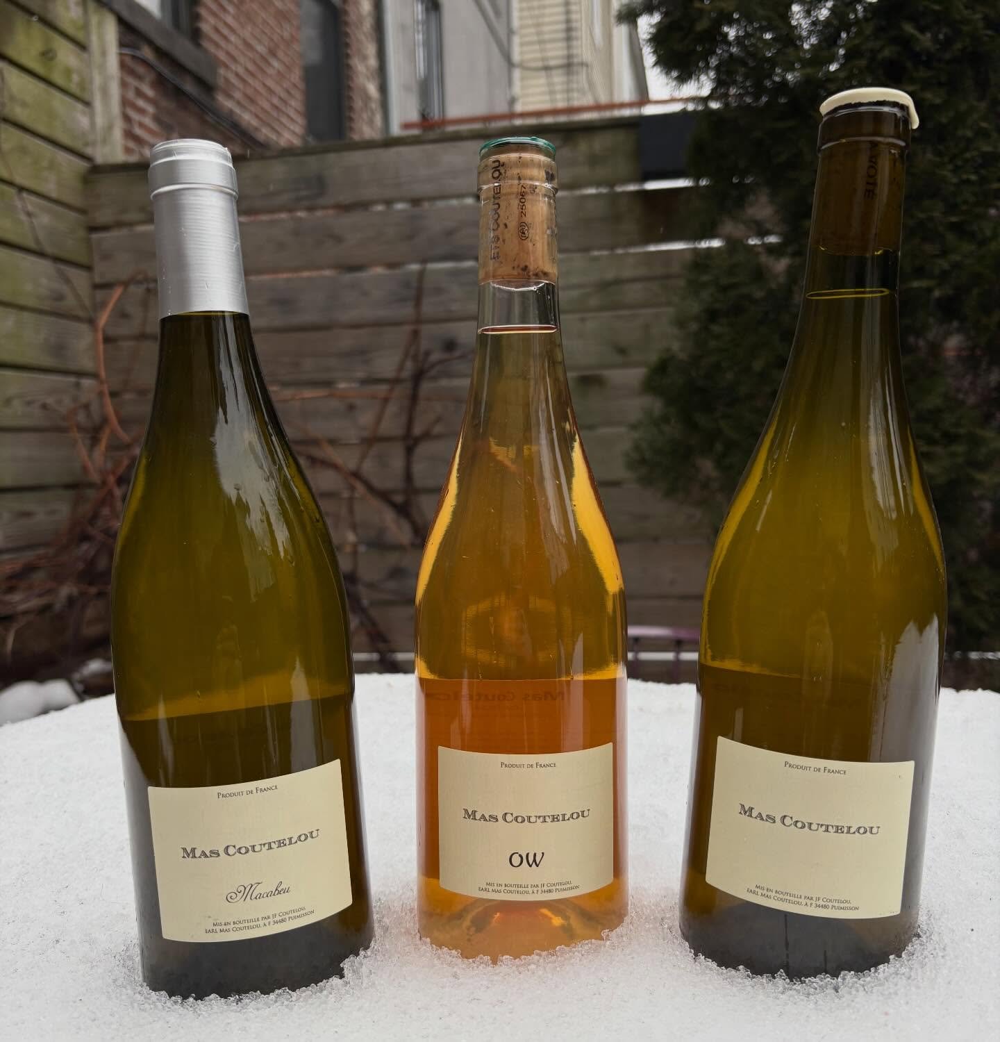 And on this glorious ☔️⛈️ day, we bring out the ☀️ with @jeffcoutelou ❤️

> Macabeu White 2024: Macabeu from the parcels of Peilhan &amp; Ste Suzanne. 3 days of skin contact, aging on fine lees in stainless. Surprising acidity &amp; freshness for 