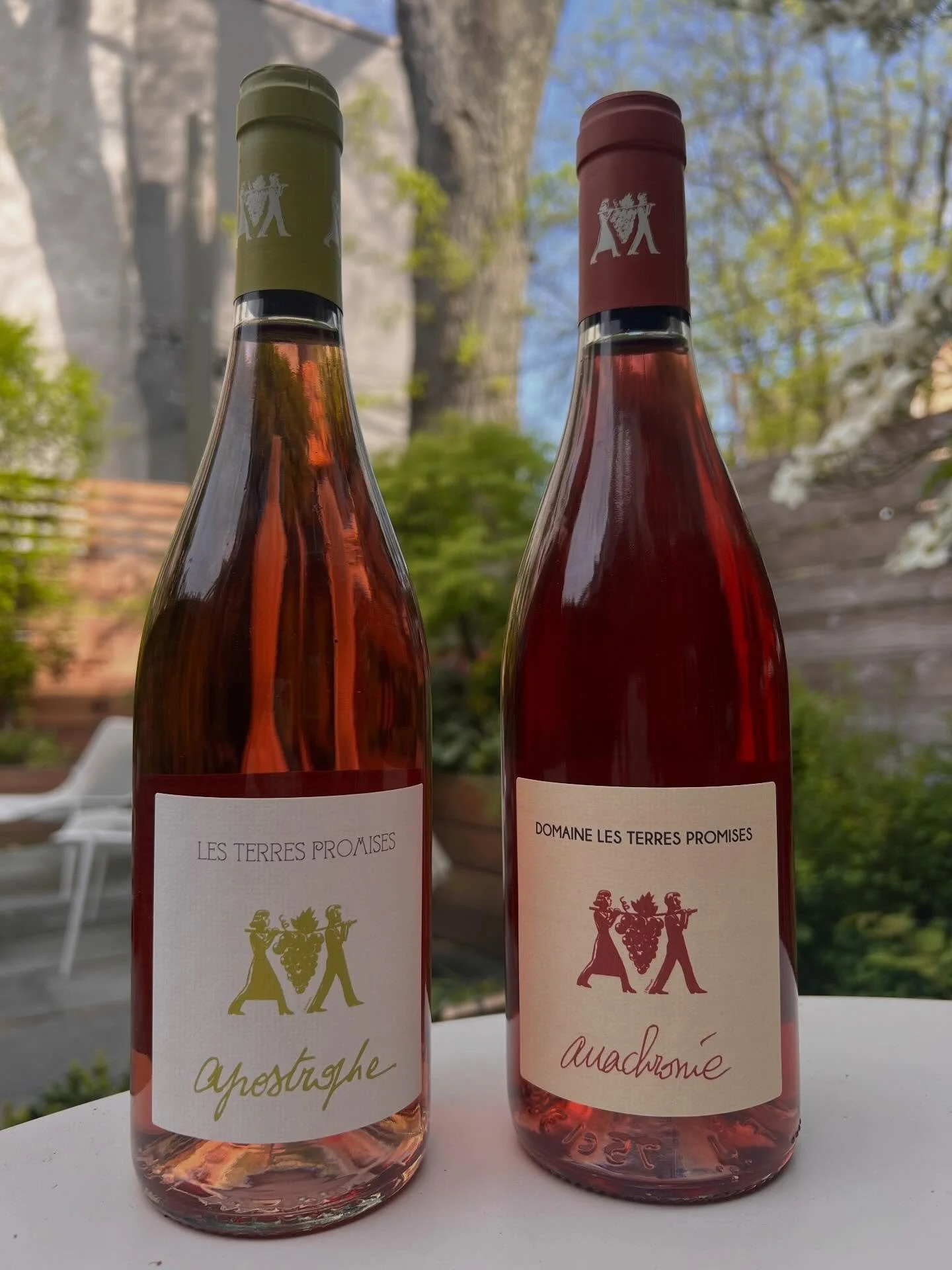 Jean Christophe Comor started off in politics and it&rsquo;s a desire of life change that brought him to Provence to make wine. @lesterrespromises is located on the eastern flank of Mount Sainte Baume (15 hectare property). In addition they work 3ha 