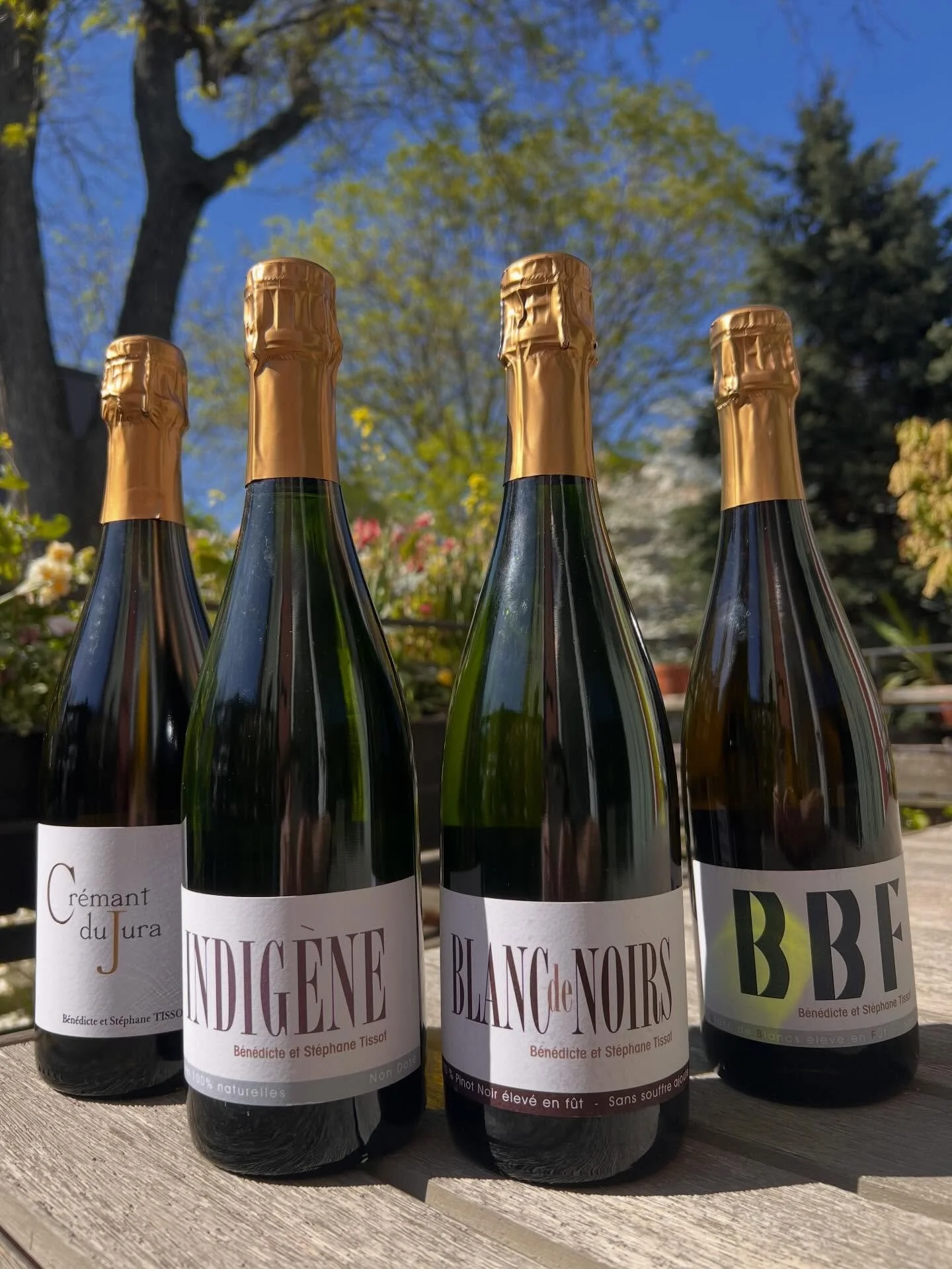 🍾🥂🌞🎒

##StephaneTissot is constantly seeking to improve the quality of his wines - and when it comes to cr&eacute;mant he has been able with time to switch to 100% indigenous fermentation for both fermentations on all 5 of his cr&eacute;mant. He 