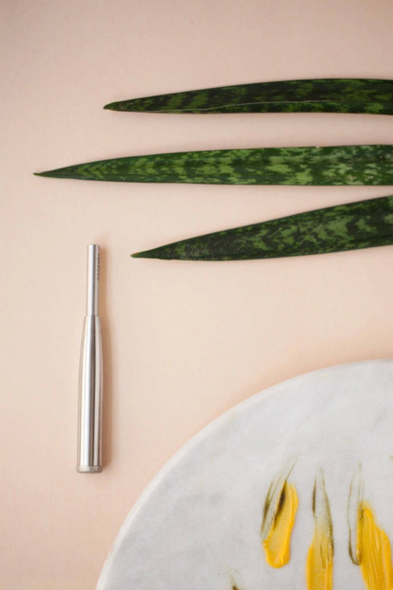 Microderm Express treatment tools at Mandara Spa in Fort Collins