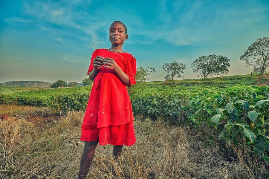 Image captured by Moses Mitchell Photography