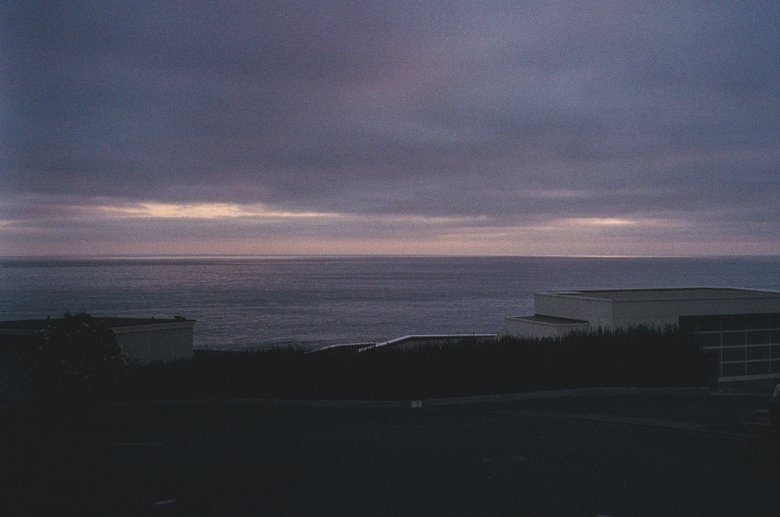 89920019.jpg