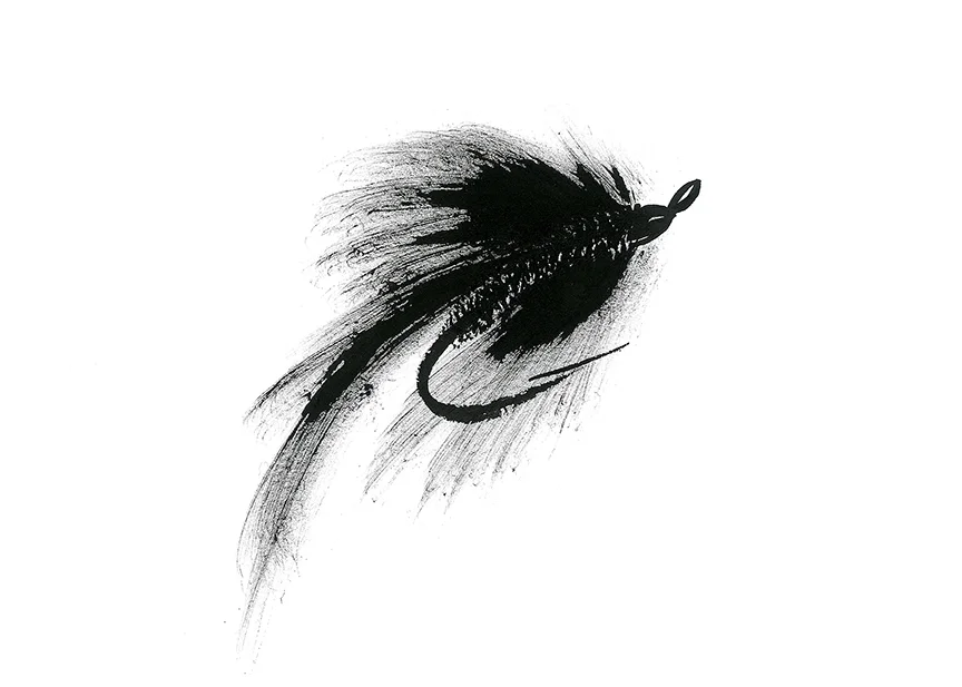 Fat Tail #0019