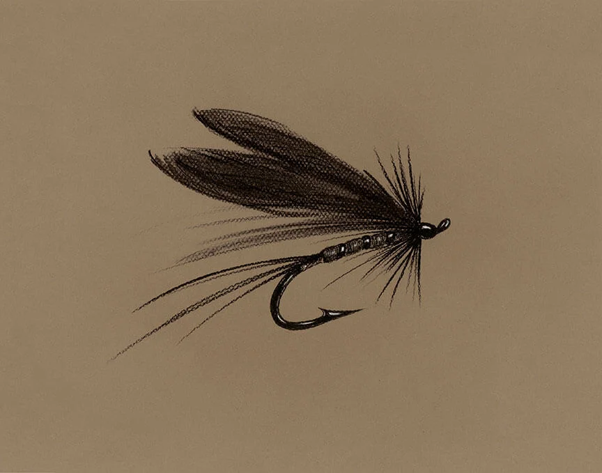 Charcoal Fly Study # 0005