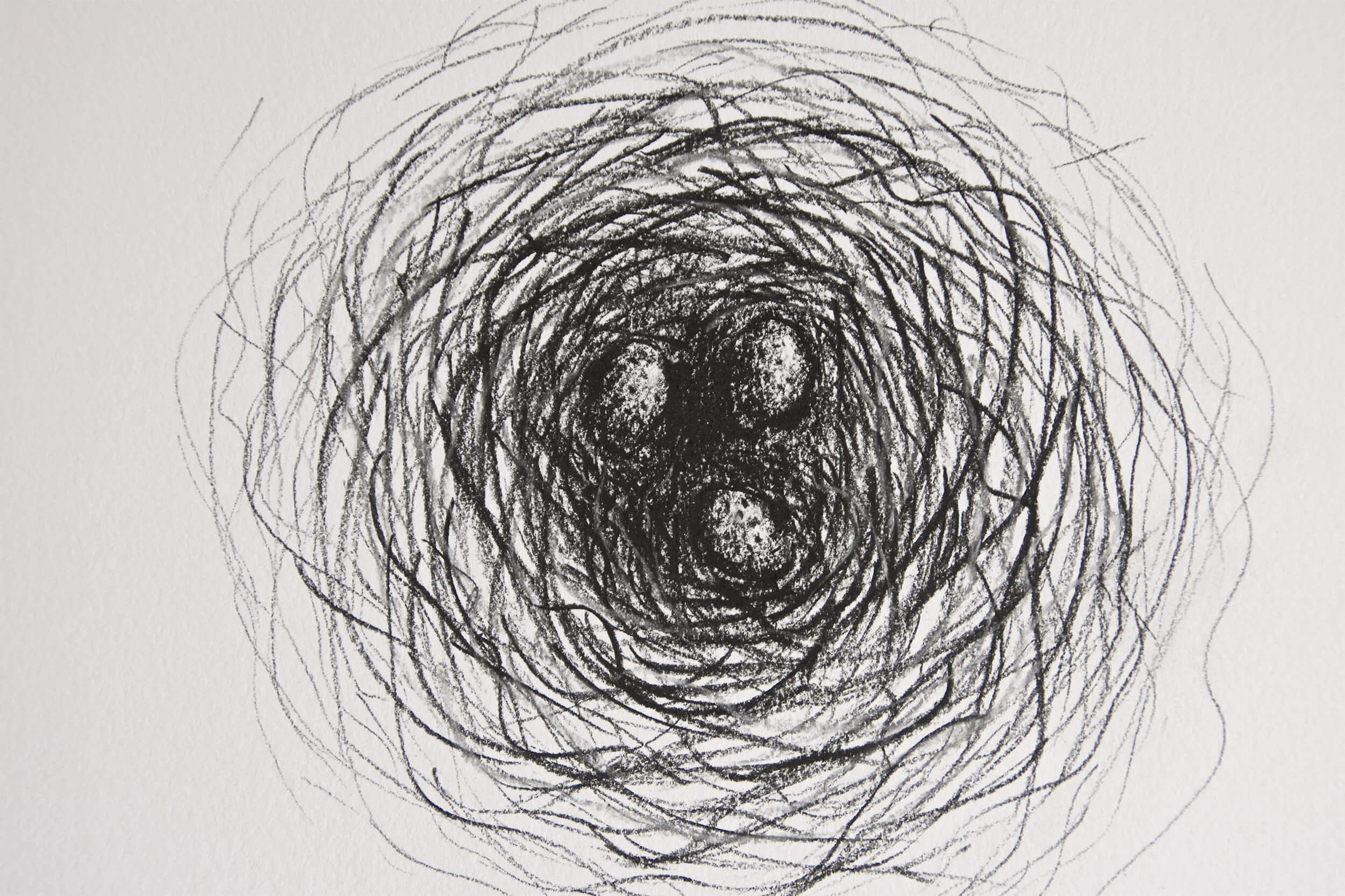 Nest Sketch Charcoal #10001