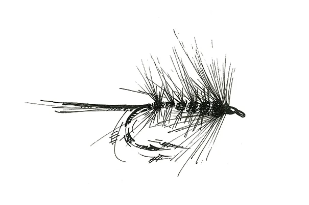 Fly Study #0002