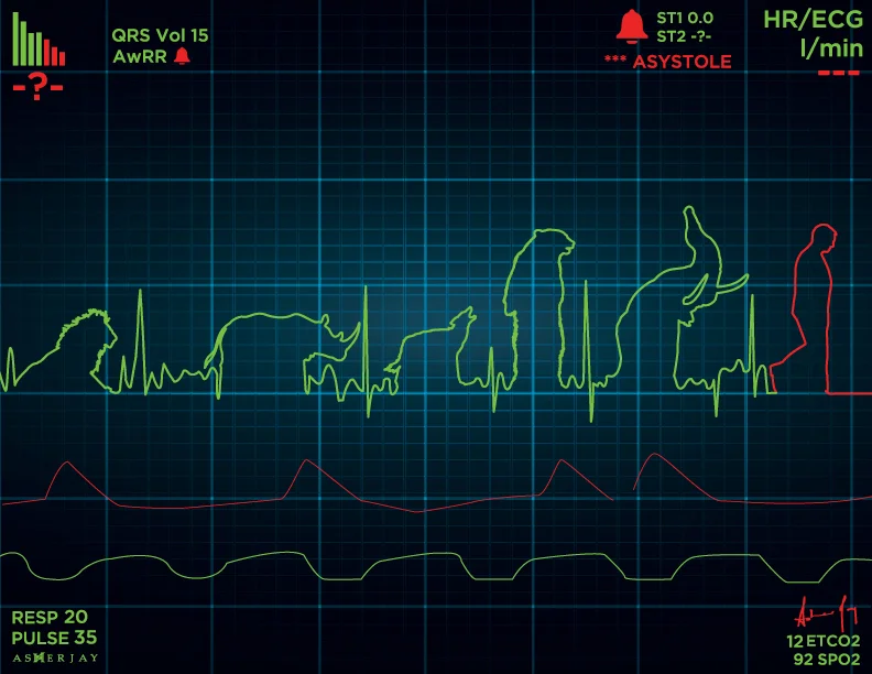 “Asystole” by Asher Jay.