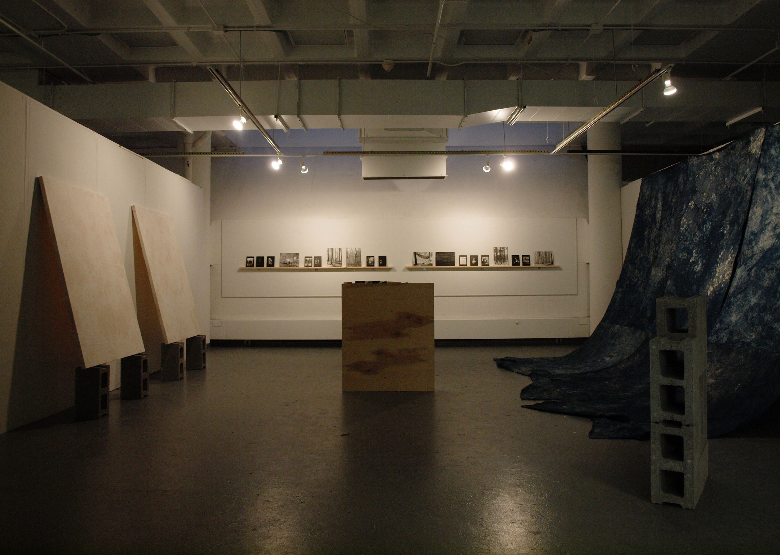  2014, installation view at Alfred University, paintings by Claire Morgos 