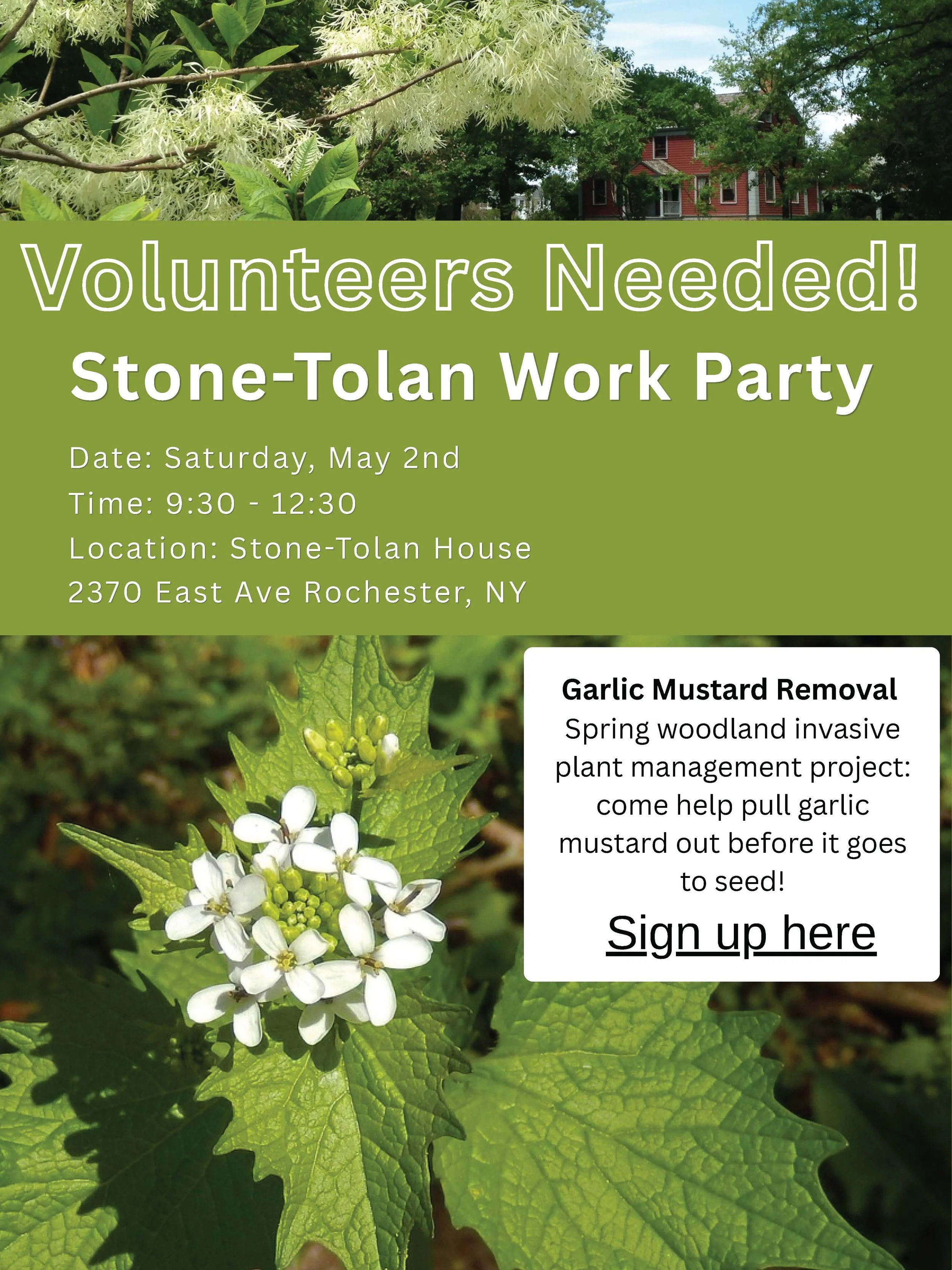 Stone-Tolan Work Party