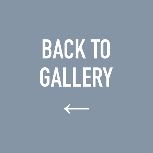 back-to-gallery.png