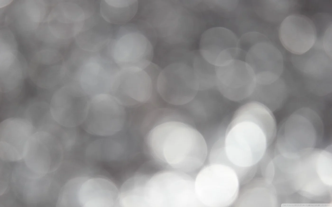 apcwa-bokeh.jpg