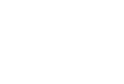 PINS_LOGO_WEB.png