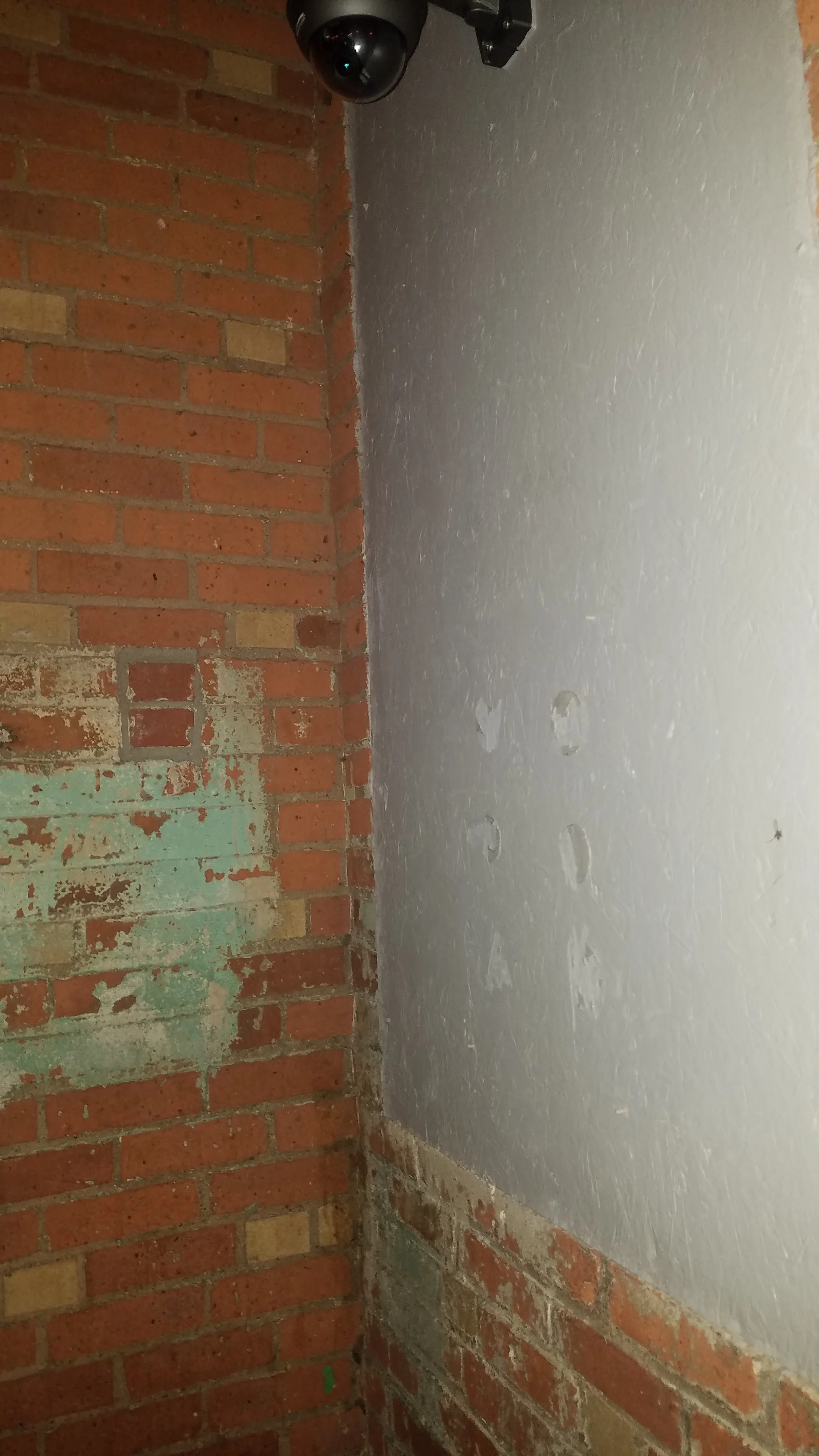 20171017_111410.jpg