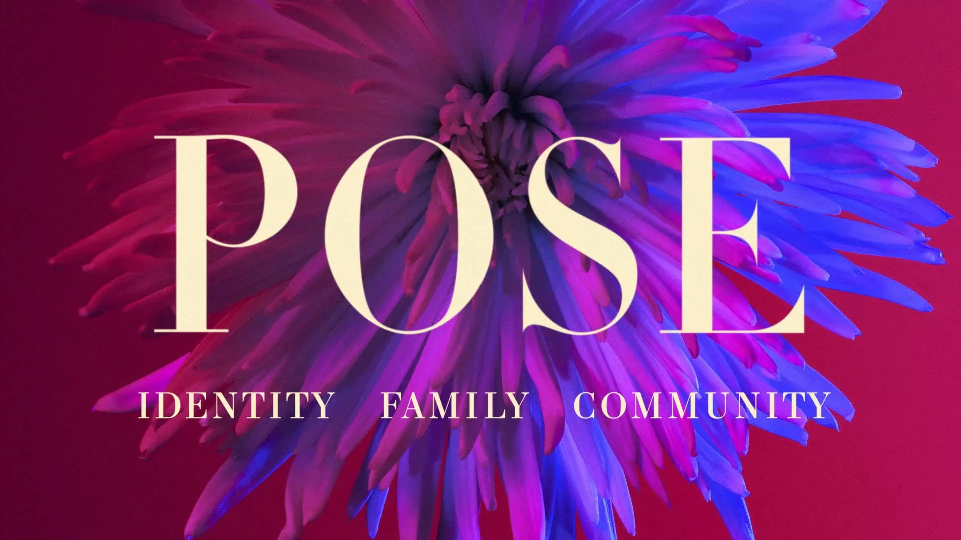 POSE_THUMB.jpg