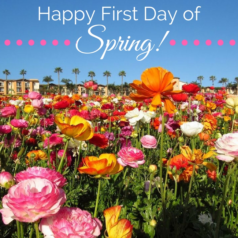 FIRST DAY OF SPRING — Casa del Mar