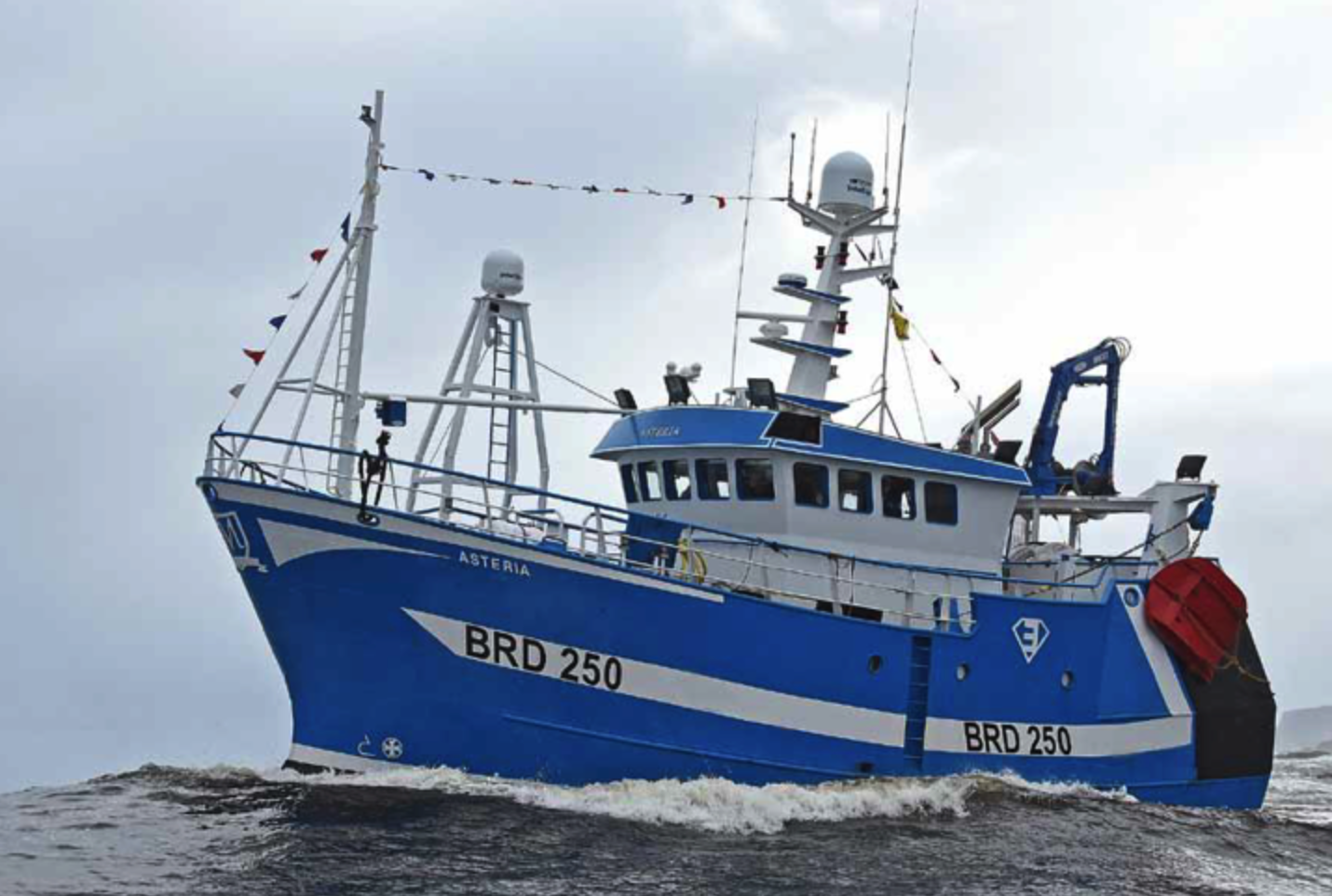 Click thorugh for all the details and great photos, click through to the Fishing News article here.
