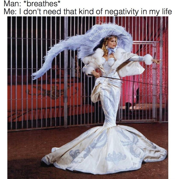 Meme Courtesy of Alexandra Steadfast, 2017.