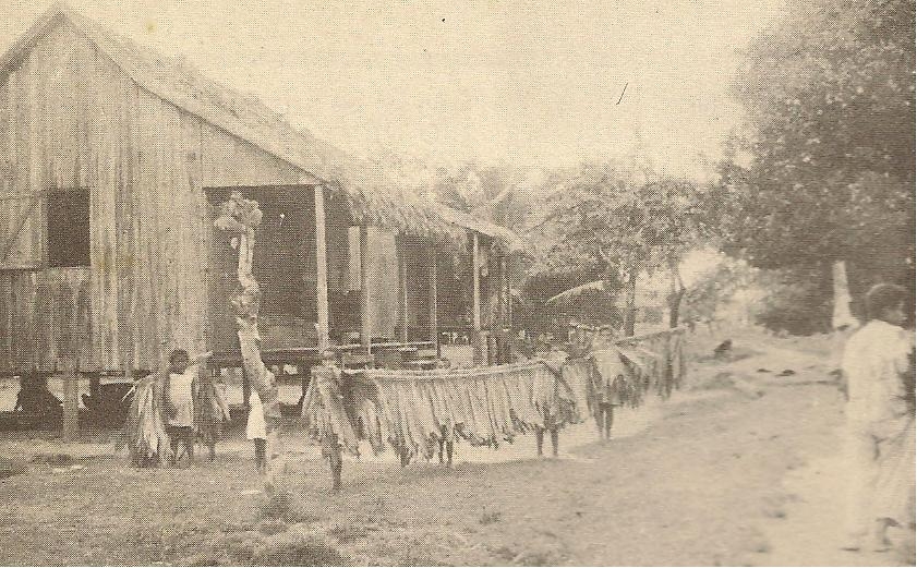 Children drying tuno cloth, 1959. http://nicaraguenses.blogspot.com/2010/02/departamento-de-zelaya.html