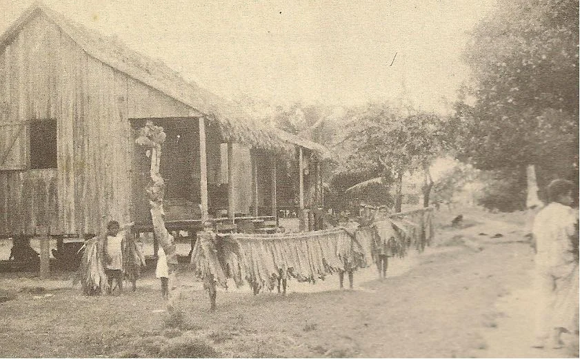 48. Fashion in Focus: Tuno Bark Cloth