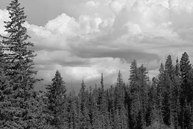 Greer, Arizona by Capella Kincheloe Interior Design
