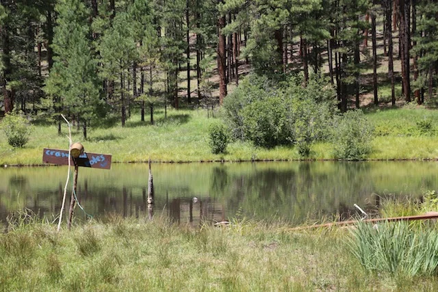 Greer, Arizona by Capella Kincheloe Interior Design