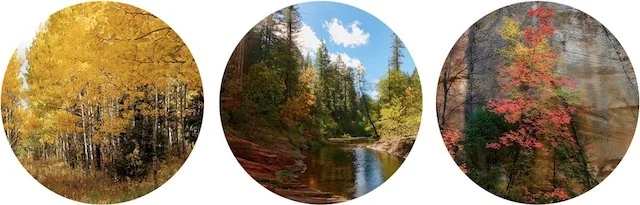 wanderlust 3 places to see fall colors in the southwest by capella kincheloe interior design and consulting