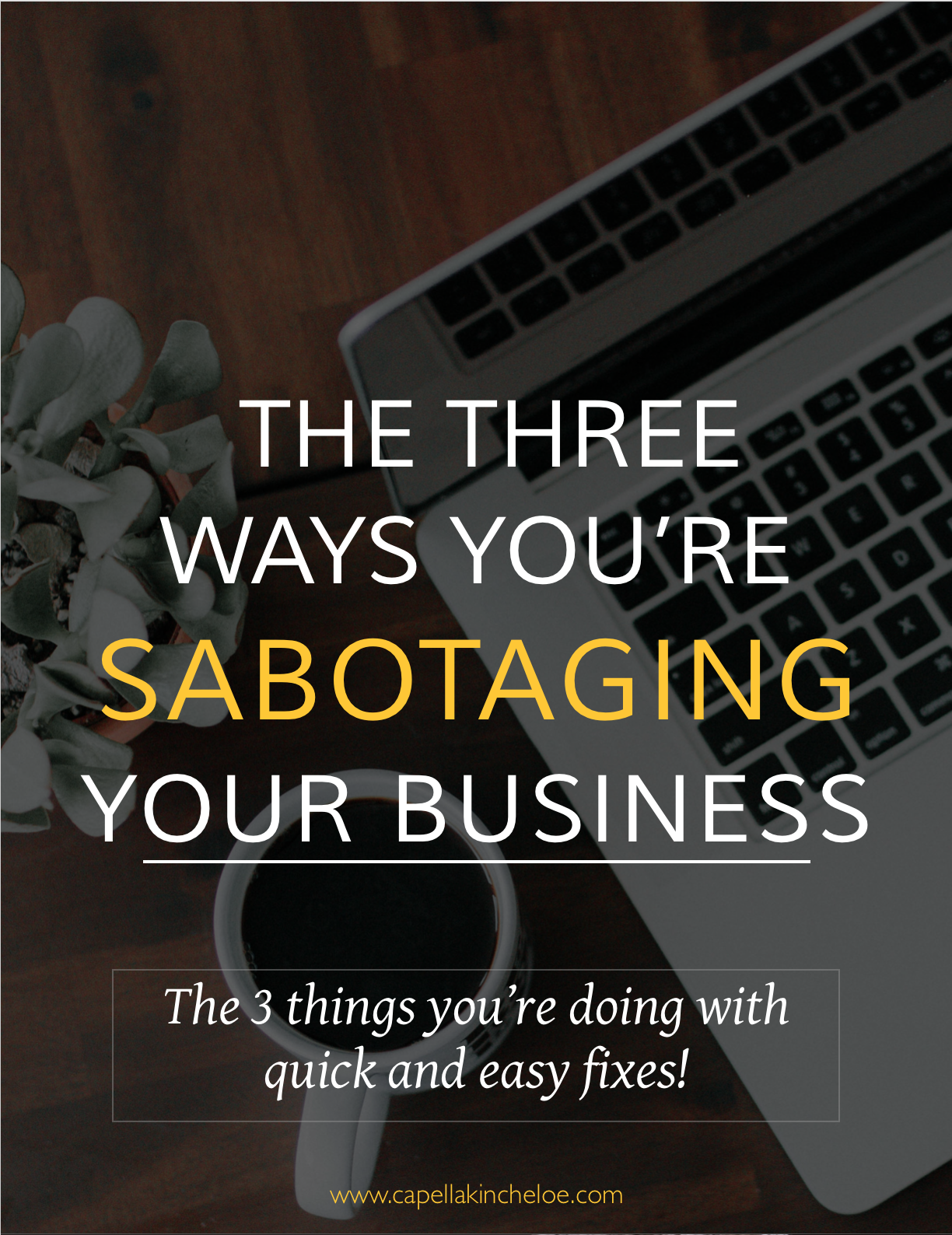 Running a business is hard and you don't want your efforts to work against you. There are three things that could be sabotaging your business. Learn what they are and really quick and easy ways to fix them! 
