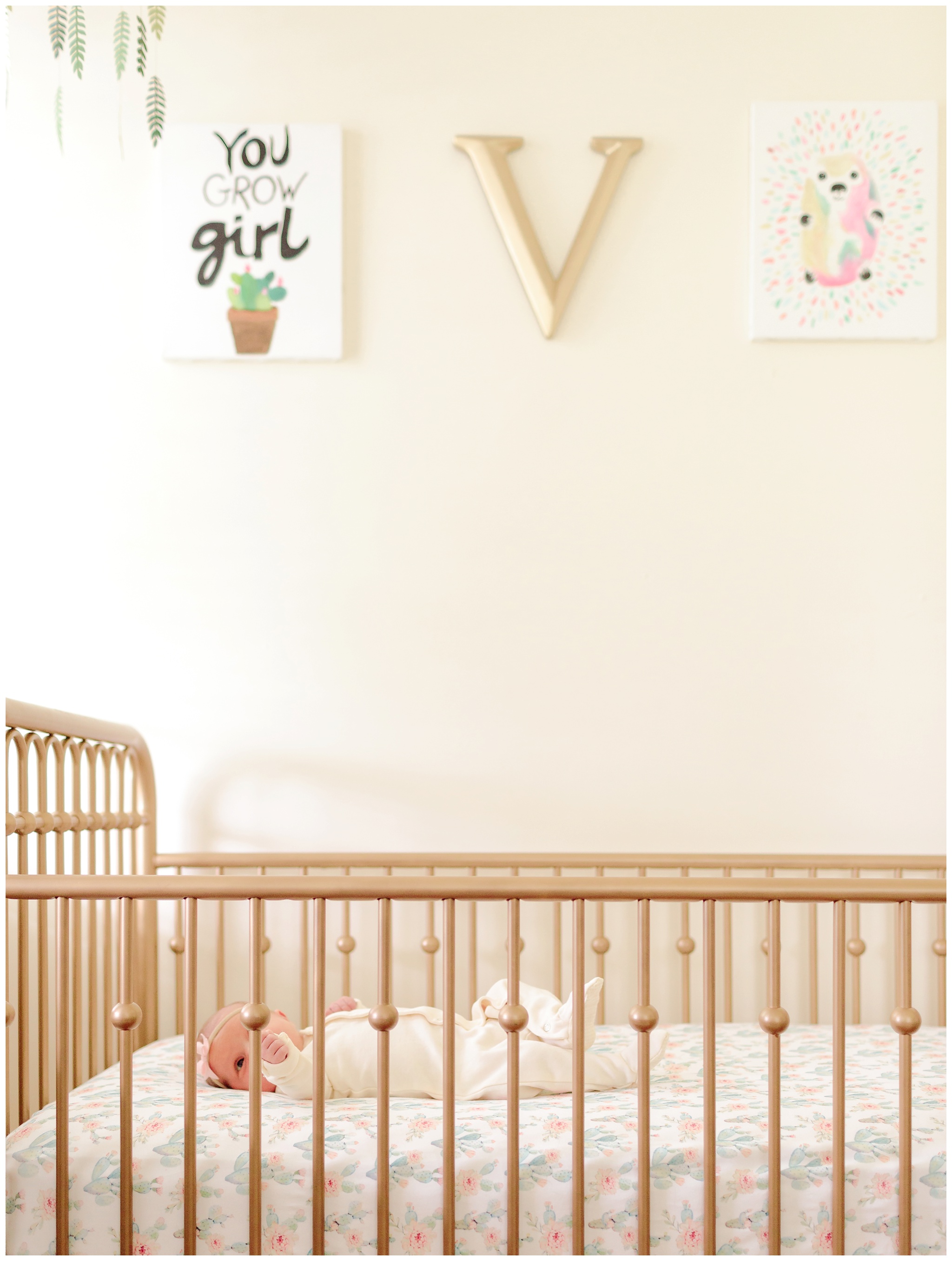 virginia-beach-newborn-photographer