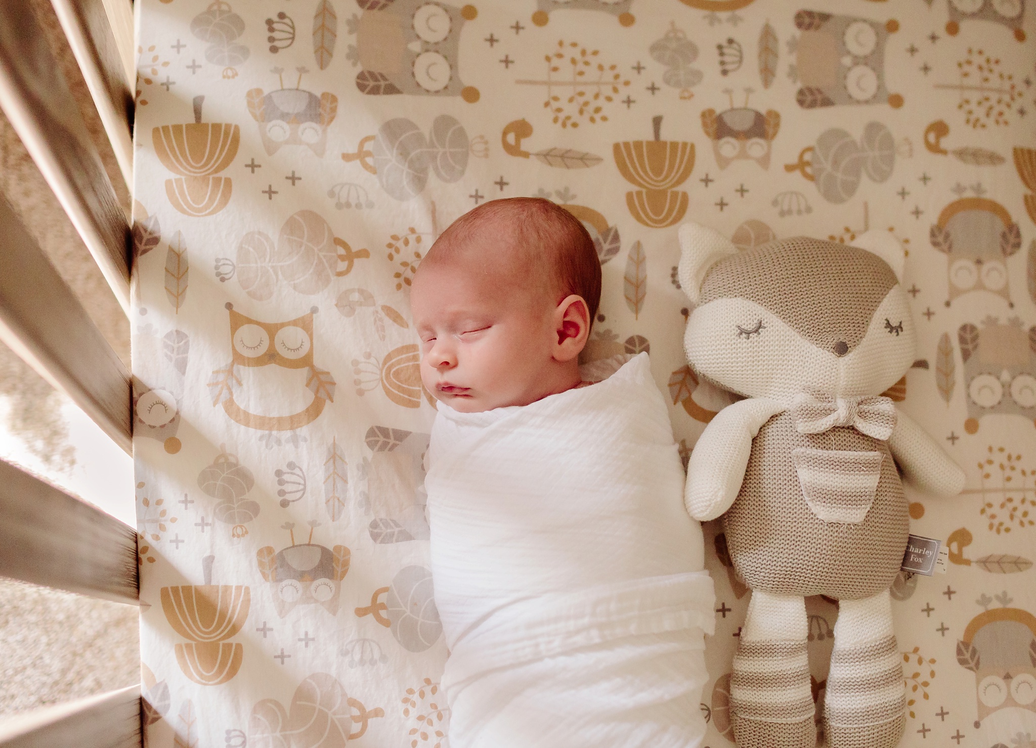 virginia-beach-newborn-photographer