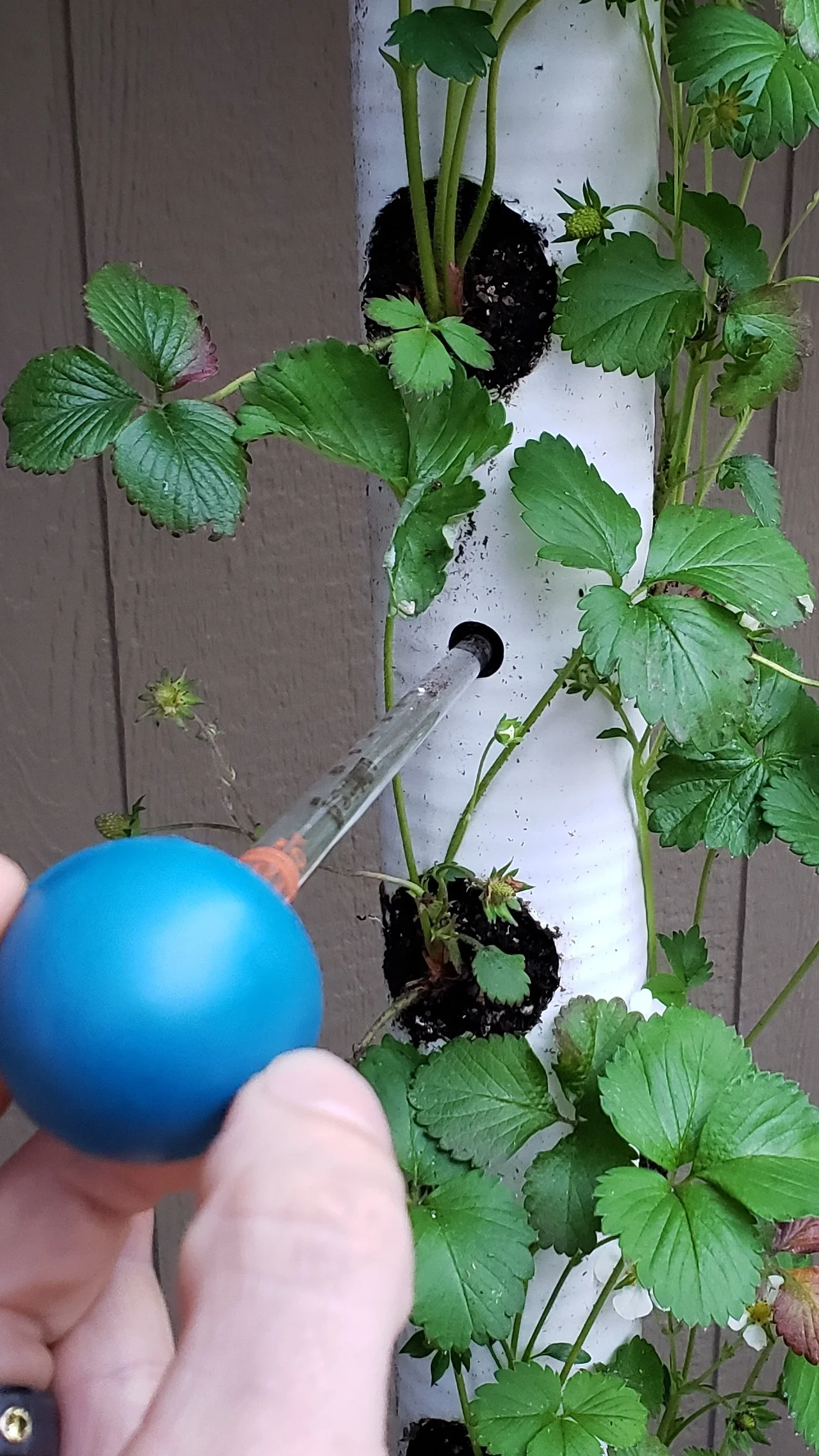 20190526_201013.jpg
