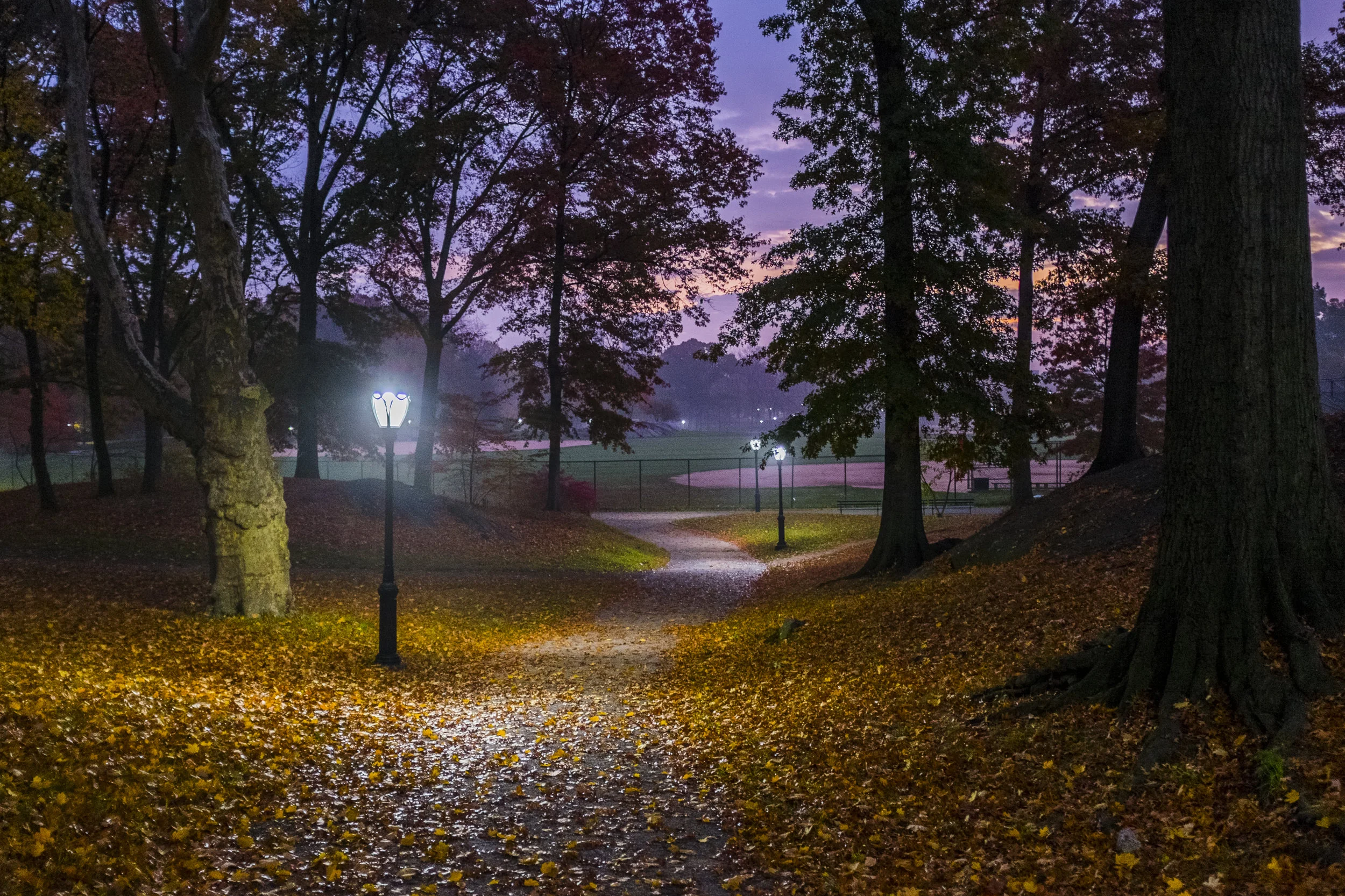 CentralParkNorthField.jpg