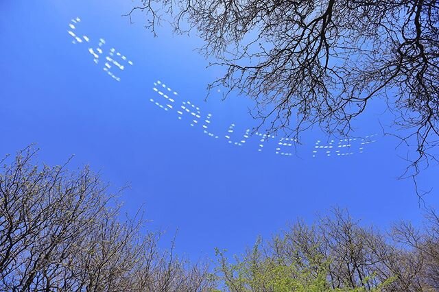 Sky writing seen from @riversideparknyc.  Wasn&rsquo;t quite sure at this point what it was going to say.  It turned out to be &ldquo;We Salute Healthcare Professionals.&rdquo;