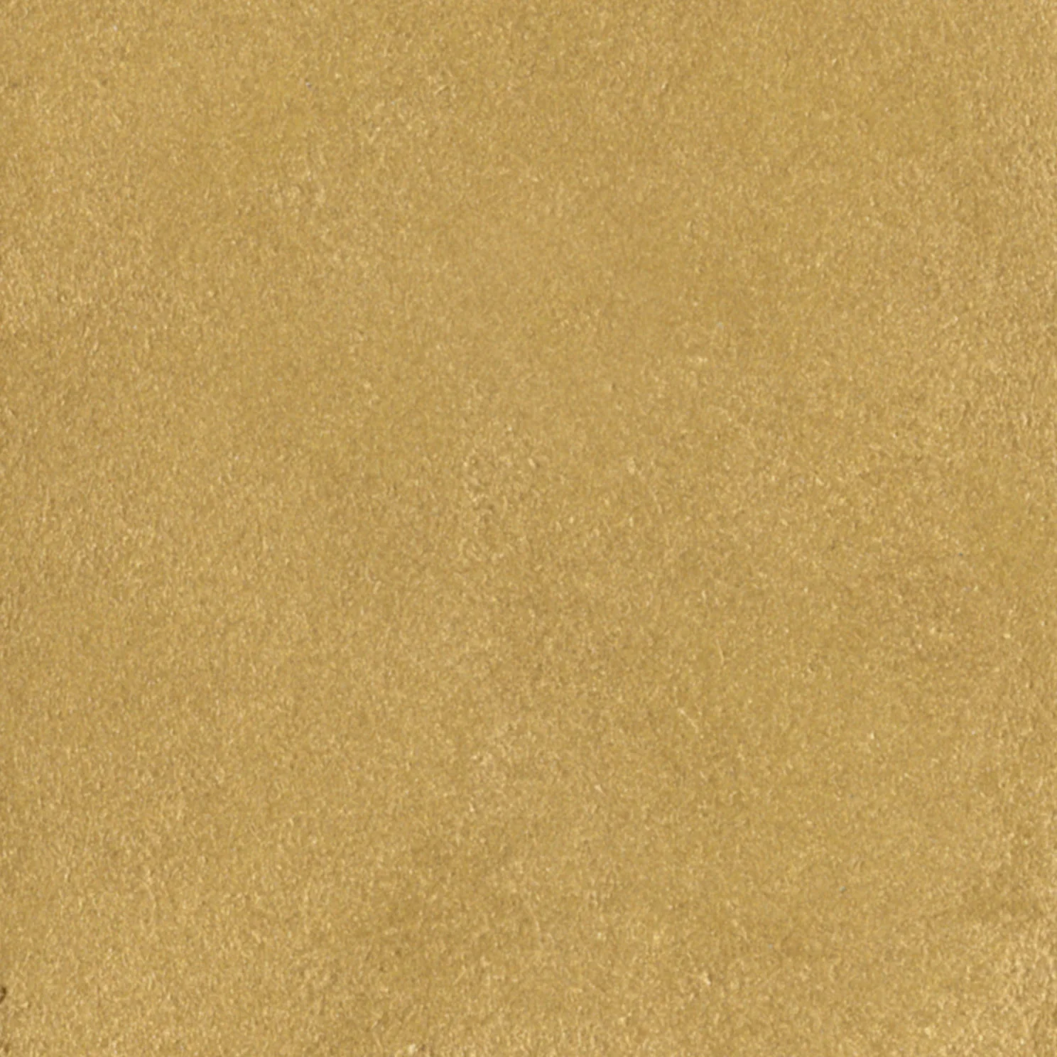 Hollywood Gold Paint