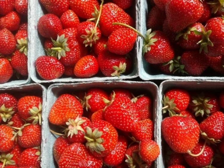 Strawberries in pints LGS.jpg