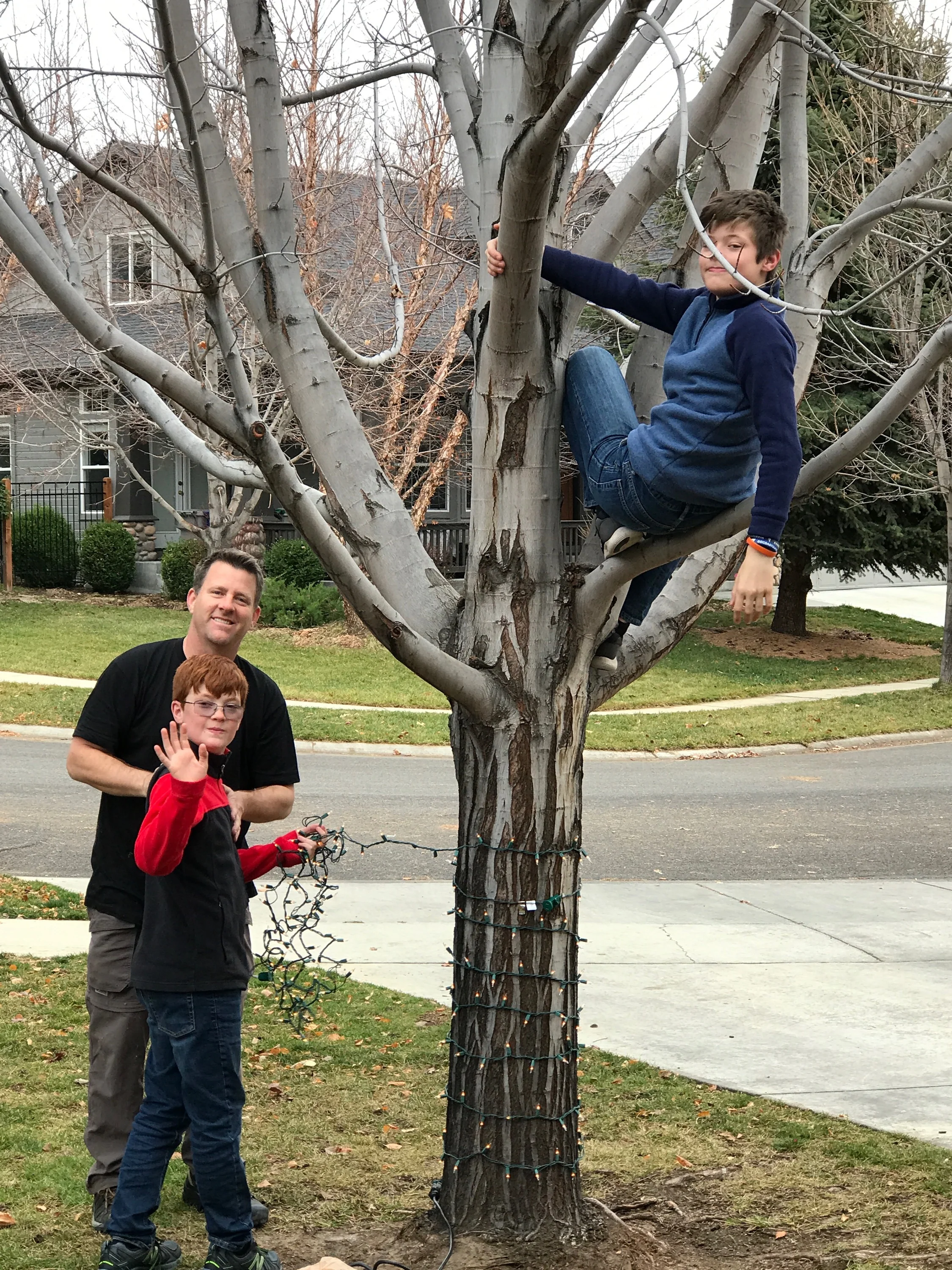 December 2017 Newsletter