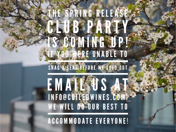 Spring release 2.jpg