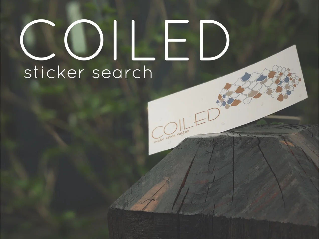 Sticker search.jpg