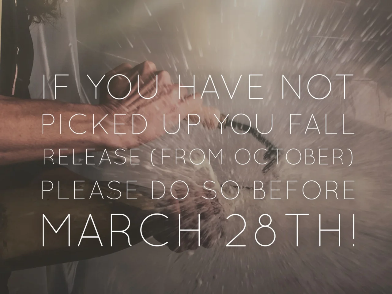 Pick up your fall release before it's too late!
