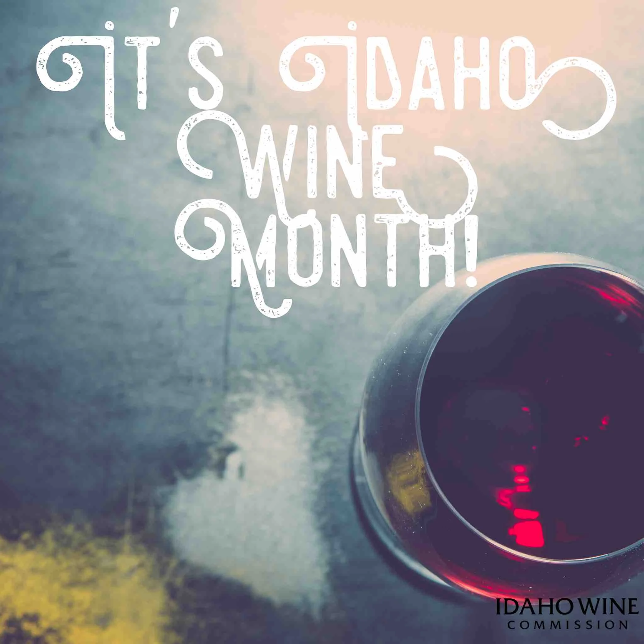 June 2019 Newsletter 