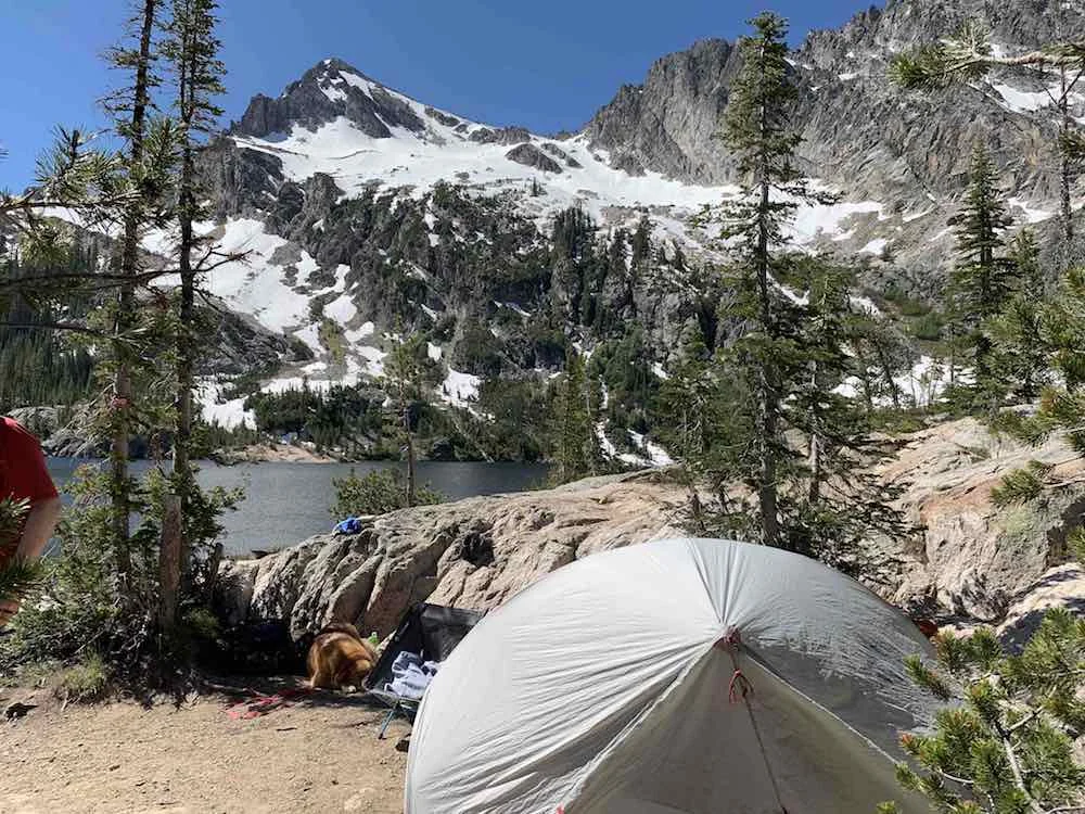 July 2019 Newsletter