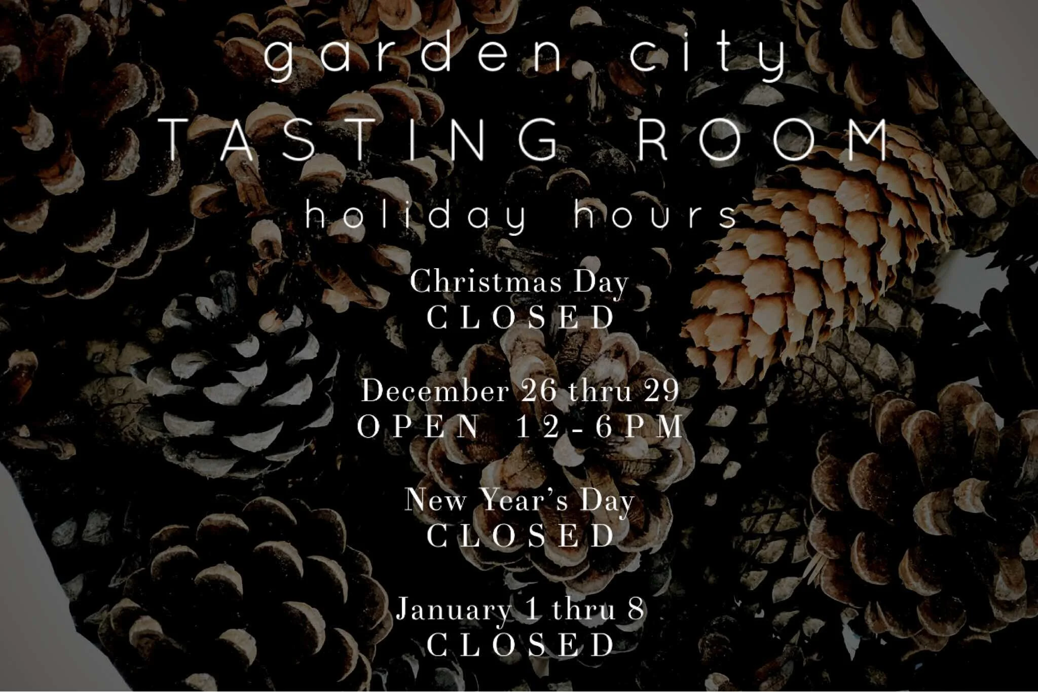 Winter Break in Garden City