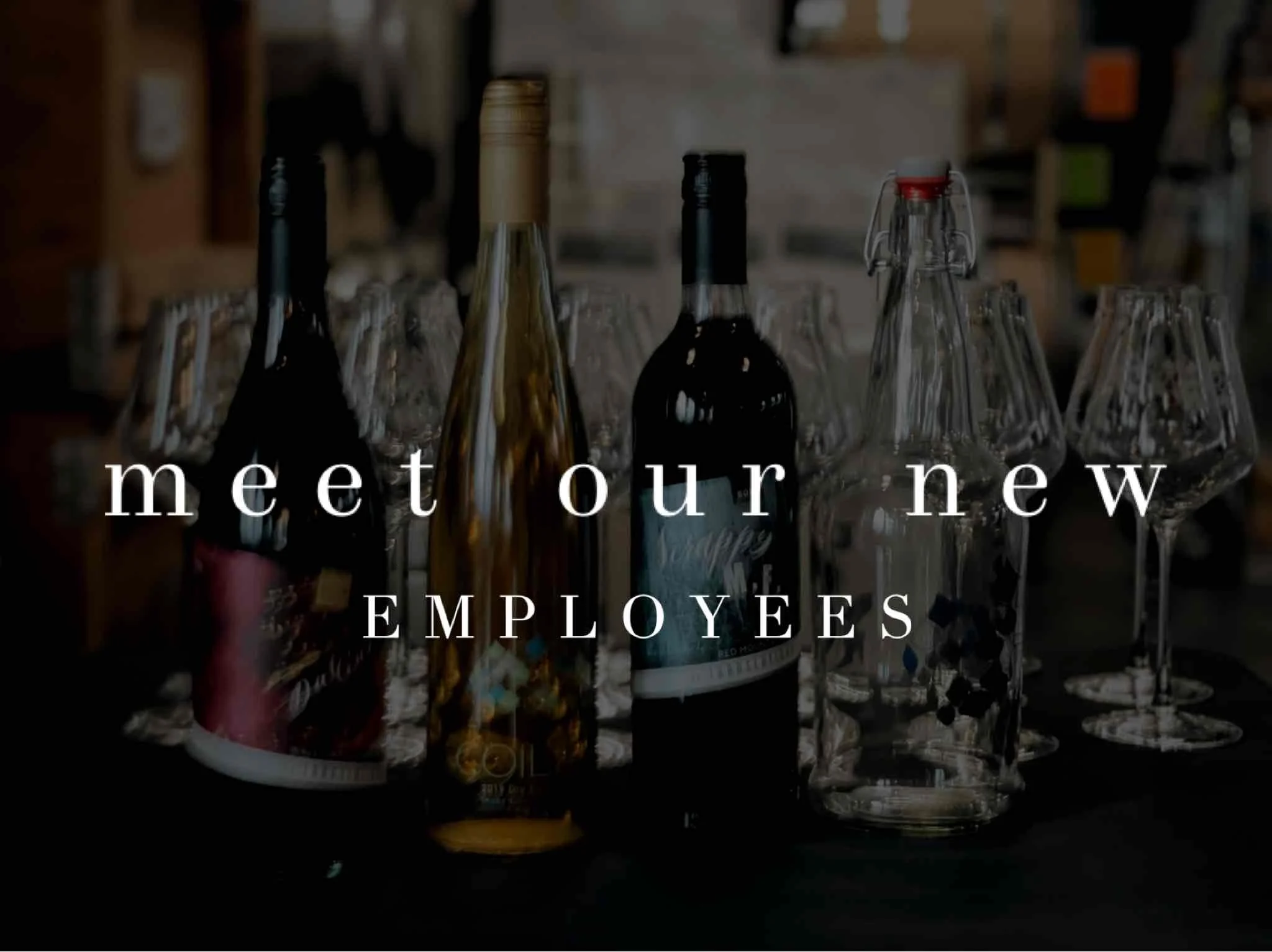 November 2021 Newsletter
