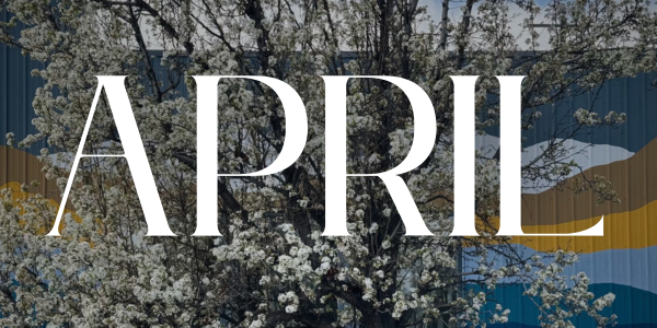 April 2026 Newsletter