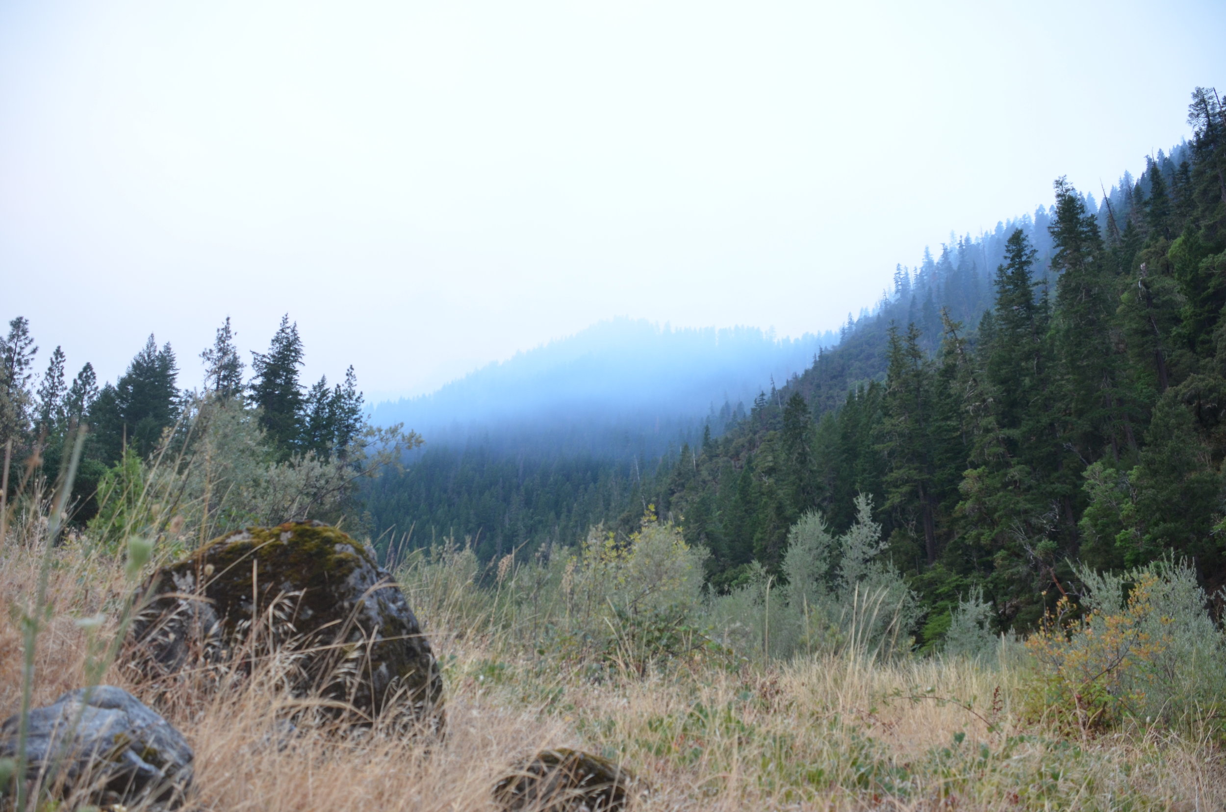 20160903 Gap Fire 405.JPG