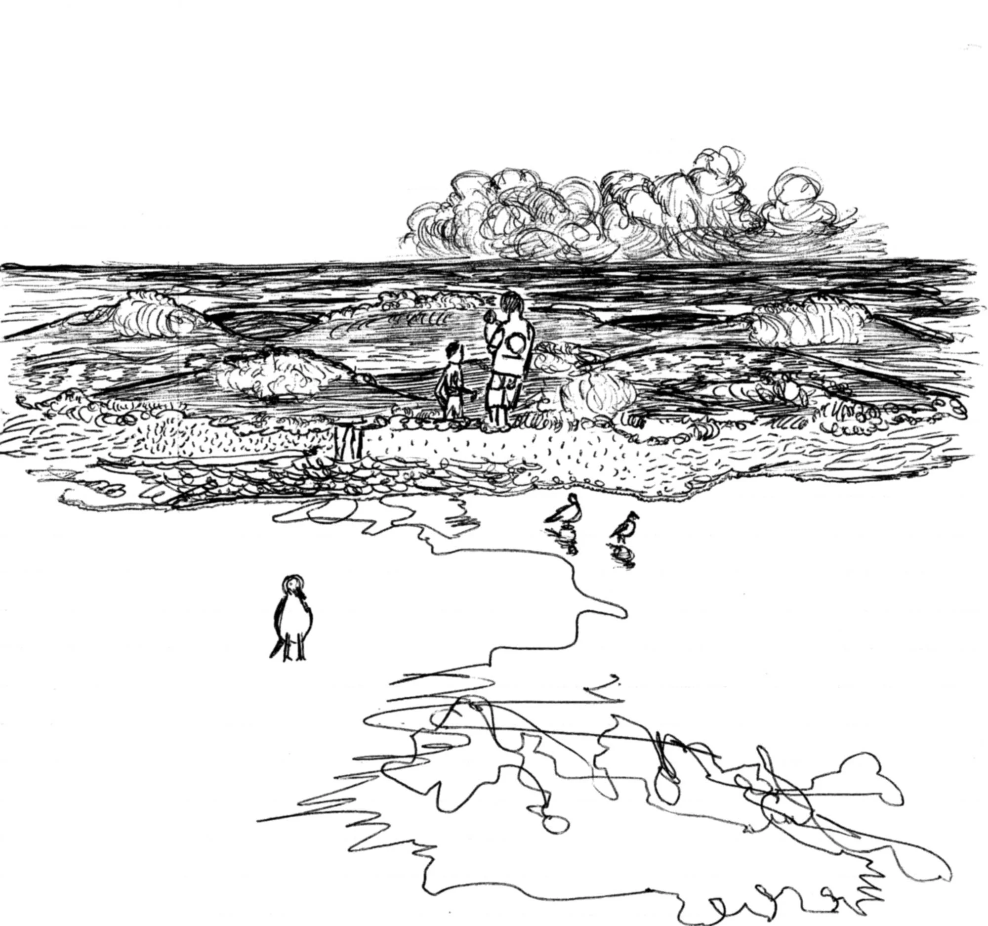 Beach sketch.jpg