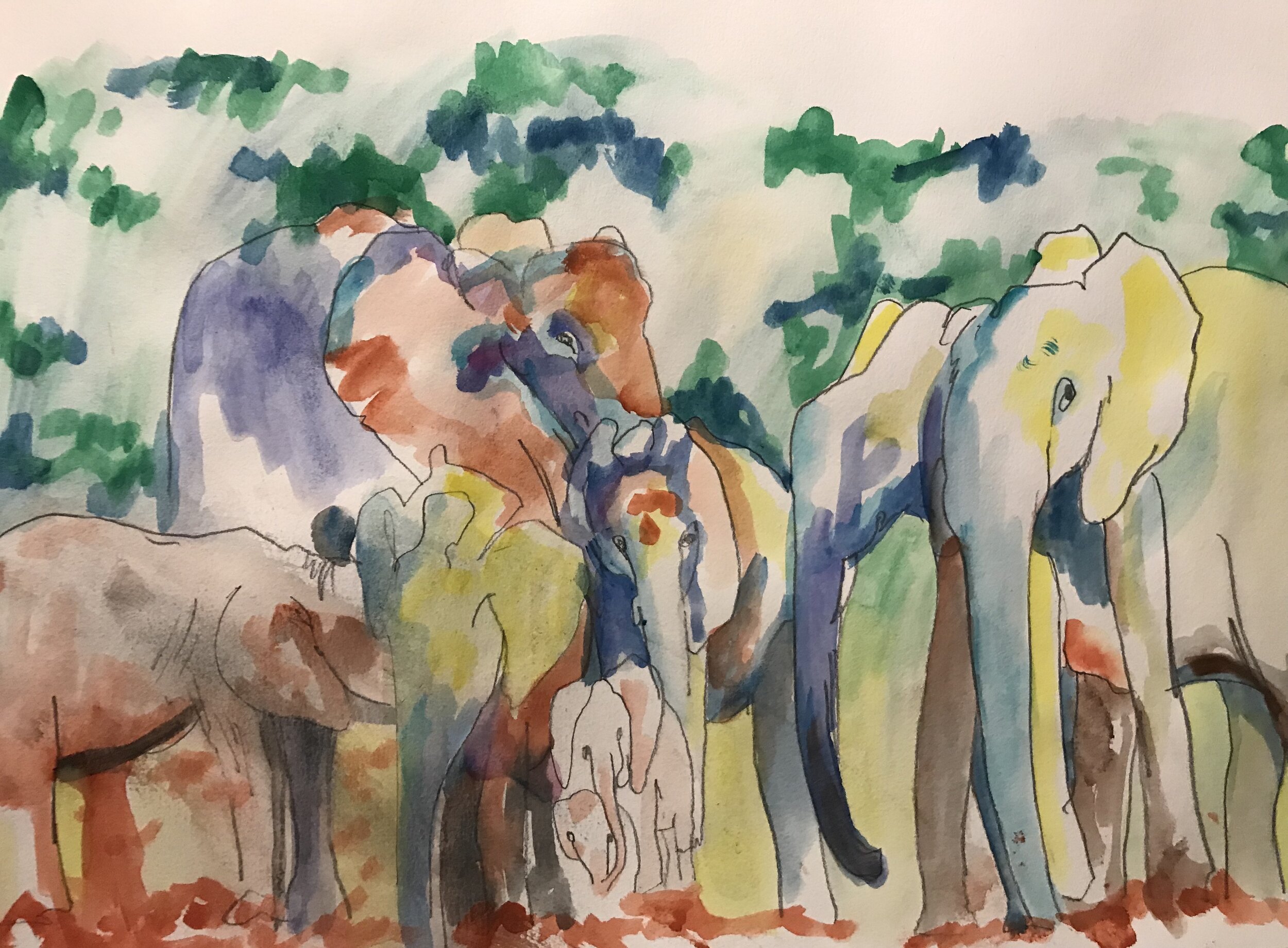 Elephants