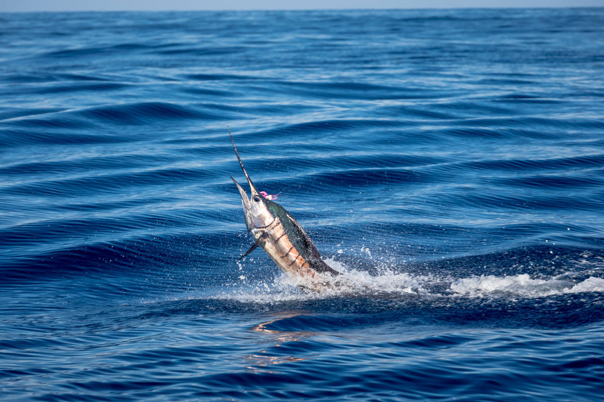 Gregson_CV Fishing-205.jpg