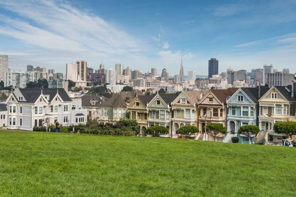 painted ladies.jpg