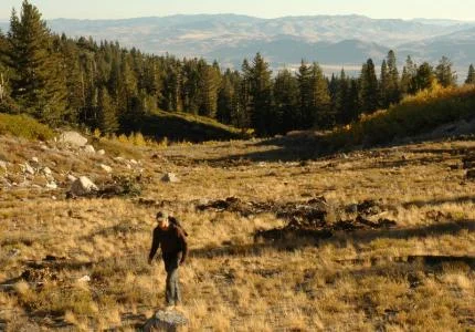 Hiking Mount Rose